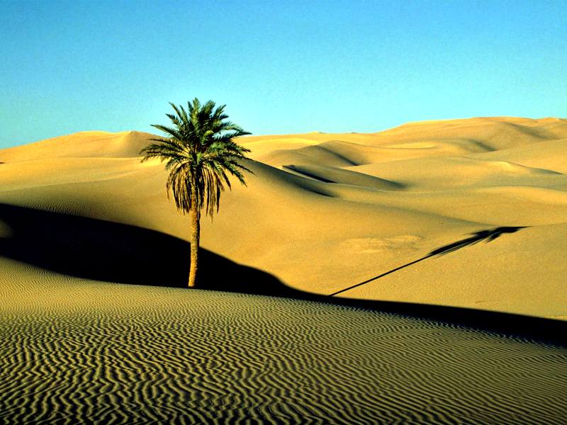 3 days desert tour from Marrakech to Merzouga